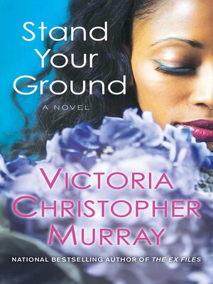 Stand Your Ground - ebook